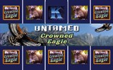 Untamed Crowned Eagle